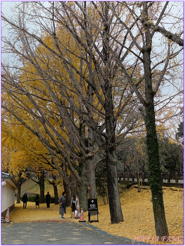 九州Kyushu,日本旅遊,櫻之馬場城彩苑,熊本Kumamoto,熊本城Kumamoto Castle