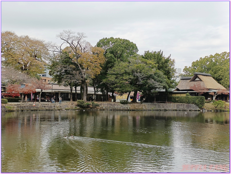 Viking Yi Dun,九州,九州Kyushu,日本旅遊,水前寺城趣園Suizenji Jojuen,熊本Kumamoto,熊本熊港八代Kumamon Port Yatsushiro,維京郵輪Viking Cruises