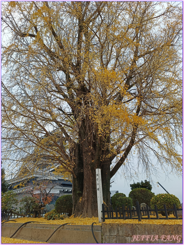 九州Kyushu,日本旅遊,櫻之馬場城彩苑,熊本Kumamoto,熊本城Kumamoto Castle